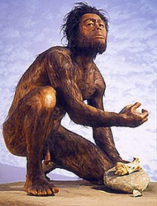 homo_habilis